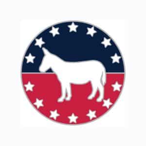 Custom Democratic Party Lapel Pin - Stock