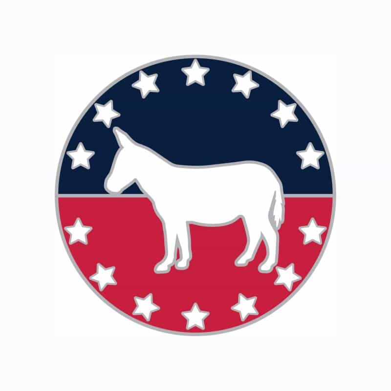 Custom Democratic Party Lapel Pin - Stock
