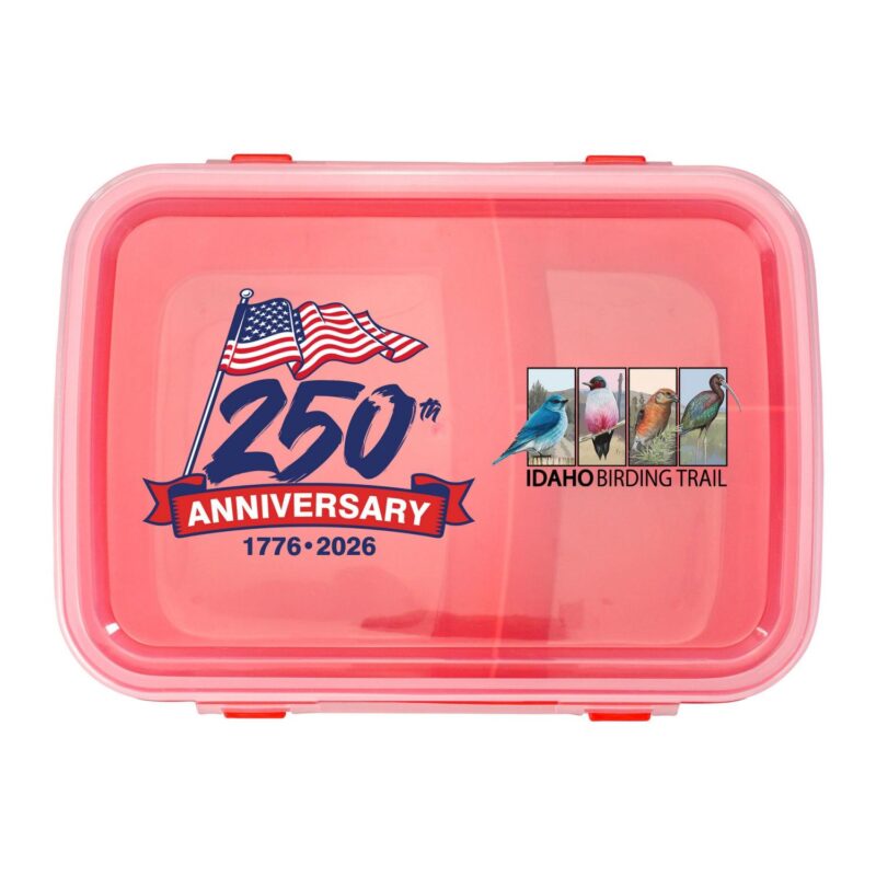 Custom Patriotic Lunch To Go Container - 4